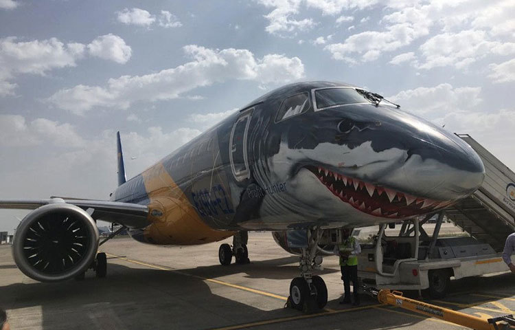 দিল্লির ইন্দিরা গান্ধী আন্তর্জাতিক বিমানবন্দরে গত বুধবার অবতরণ করে বিমানটি।