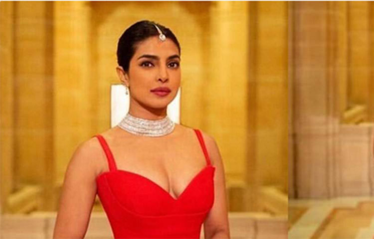 তাছাড়া নিকের পরিবার নাকি জানিয়েছে, প্রিয়াঙ্কা যথেষ্ট পরিপক্ব মানসিকতার একজন মানুষ হবেন এমনটাই প্রত্যাশা ছিল তাদের।