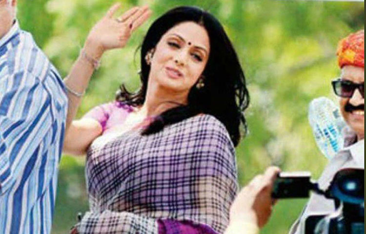 বনি কাপুর ও তার মেয়েরা শ্রীদেবীর এই শাড়িটি নিলামে তোলার সিদ্ধান্ত নিয়েছেন।