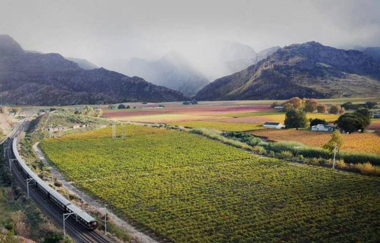 এটি দক্ষিণ আফ্রিকার রোভোস ট্রেন। ৮টি ভিন্ন রুটে চলাচল করে। ভিক্টোরিয়া ফলসসহ বেশ কয়েকটি স্থানে যায় ট্রেনটি।