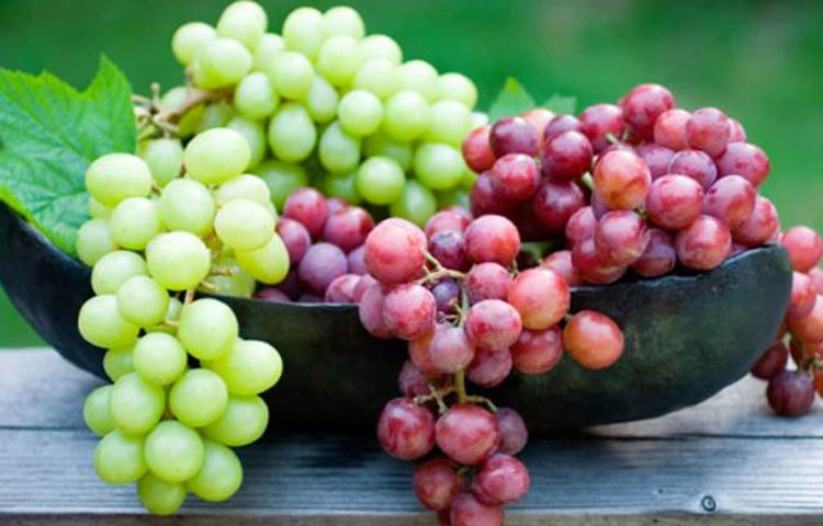 আঙুর: সবার কাছেই আঙুর একটি প্রিয় ফল। বয়স ধরে রাখতে আঙুরের জুড়ি নেই। আঙুরে রয়েছে প্রচুর পরিমাণে অ্যান্টিঅক্সিডেন্ট আছে। ফলে নিয়মিত আঙুর খেলে ত্বক ও দেহ সুন্দর ও সুস্থ থাকে।