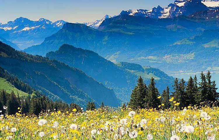 তবে বিয়ের আগে রয়েছে আসল চমক। আকাশ ও শ্লোকের প্রি-ওয়েডিং অনুষ্ঠান হতে চলেছে সুইজারল্যান্ডে।