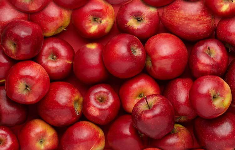 এমনিতে বলা হয়ে রোজ একটা করে আপেল খেলে ডাক্তারদের থেকে অনেকটা দূরে থাকা যায়। অ্যালার্জির প্রবণতা রুখে দিতেও এটি ভালো কাজ দেয়।