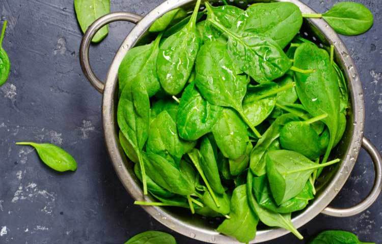 পালং শাক খাদ্য তালিকায় রাখার চেষ্টা করুন। অ্যালার্জি নিয়ন্ত্রণে এটি ভালো কাজ দেয়।