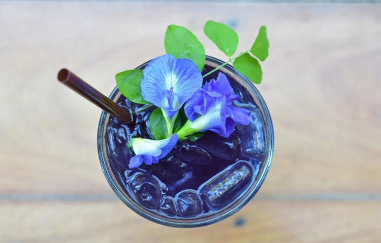 ব্লু টিতে রয়েছে অ্যান্টি-অক্সিডেন্ট ও অ্যান্টি-ইনফ্ল্যামাটোরি গুণাগুণ যা শরীরের টক্সিফিকেশন রোধ করে।