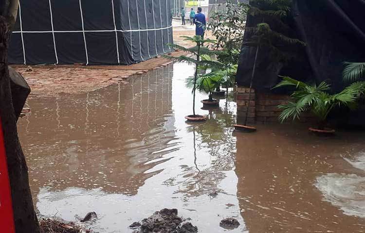 বৃষ্টির পানিতে ডুবে গেছে গাছের টব।