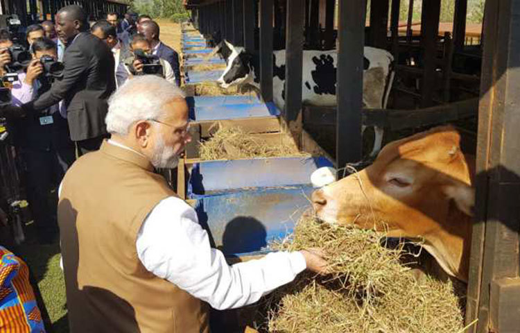ভারতে লোকসভা নির্বাচন সামনে আর গরু নির্বাচনী ইস্যু হবে না এমনটা হয় না। বিজেপিতো বটেই পিছিয়ে নেই কংগ্রেস-আম আদমি পার্টিও। গো হত্যা নিয়ে আইন অনেক আগেই হয়েছে বিভিন্ন রাজ্যে।