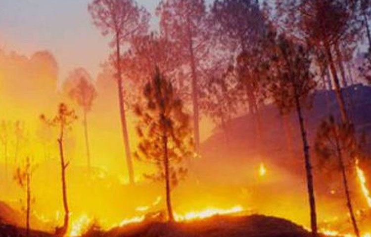 যদি কয়লার টুকরো পড়ে থাকে, ধরে নেওয়া হয় গ্রামে অগ্নিকাণ্ডের মতো দুর্ঘটনা ঘটতে পারে পাঁচ দিনের মধ্যেই।