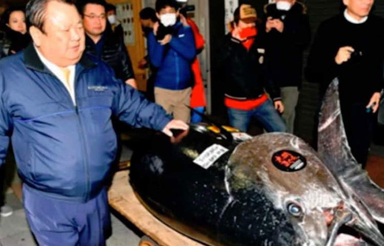 টোকিওর সুকিজিতেই একটি রেস্তরাঁ চালান ব্যবসায়ী কিয়োশি কিমুরা। নিলামের পর বললেন, ‘এটাই সেরা টুনা। তবে, আমি যে দামটা ভেবেছিলাম, তার থেকে এর দাম অনেক বেশি। যাই হোক, আমাদের রেস্তরাঁর কাস্টমাররা খুব ভালো একটা টুনা মাছ খেতে পারবেন।’