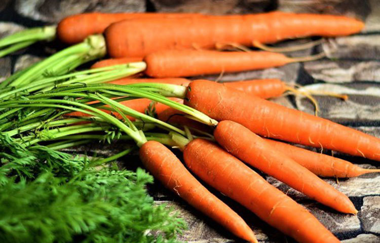 মূলজাতীয় সবজি : বিট, মিষ্টি আলু, গাজর, শালগমের মতো নানা সবজি শীতে আপনাকে সুস্থ থাকতে সাহায্য করবে। এসব সবজিতে থাকা ভিটামিন ও নানা পুষ্টি উপাদান শরীরের রোগ প্রতিরোধ ক্ষমতা বাড়াবে। এগুলো ভালো কোলেস্টেরলের পরিমাণ বাড়াতে এবং খারাপ কোলেস্টেরলের পরিমাণ কমাতে সাহায্য করে। এ ছাড়া এসব সবজি শীতকালে দেহের উষ্ণতা বাড়াতে সাহায্য করে।