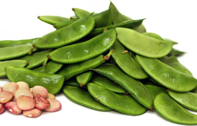 মাছ ও শিম : শীতে বেশি করে মাছ খান। আমিষের চাহিদা মেটাতে প্রতিদিন দুই বেলা মাছ খান। খাবারে সপ্তাহে অন্তত দুই দিন সামুদ্রিক মাছ রাখুন। এছাড়া মাছের সঙ্গে শিম যুক্ত করে খেতে পারেন। মাছের ঝোলে শিম মানিয়ে যায়।