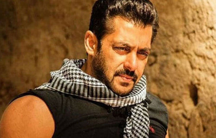 তার প্রিয় বলিউড অভিনেতা কে? স্ট্যালোন কাজ করতে চান বলিউডের ভাইজান সালমান খানের সঙ্গে।