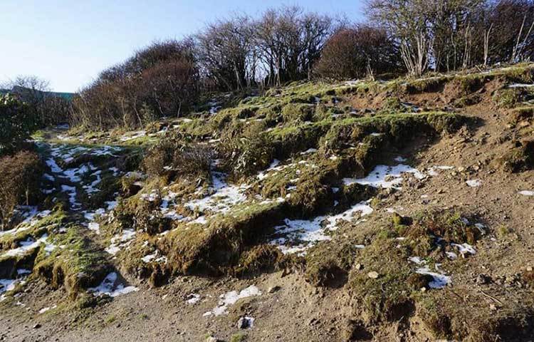 সোনাদা, লোদামা, রিম্বিকসহ বিভিন্ন জায়গায় তুষার বৃষ্টি হয়েছে।