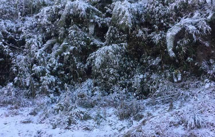 কোথাও কোথাও আধাঘণ্টা ধরে তুষারপাত হয়েছে।