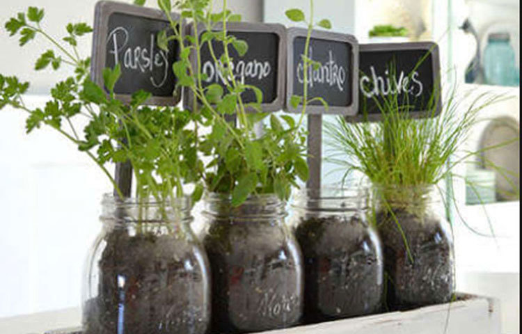 নিজের বাগানের গাছেরও যত্ন নিতে পারেন এই কফি দিয়ে। পানির সঙ্গে মিশিয়ে বা জৈব সারের সঙ্গে মিশিয়েও দিতে পারেন। এতে মাটির নাইট্রোজেন বৃদ্ধি পায়। গাছের বৃদ্ধিও ভাল হয়। তবে কফির মাত্রা যেন খুব বেশি না হয়, লক্ষ রাখবেন।