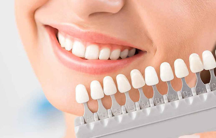 দাঁতের নানা সমস্যায় জেরবার হওয়ার সময়ও এটা। বয়স ৪০ পেরলেই এই ধরনের সমস্যাগুলি হাজির হয়। তাই মাঝে মাঝেই দাঁতের অবস্থা বুঝে স্কেলিং বা প্রয়োজনীয় চিকিৎসা করান। বছরে এক বার কোনও সমস্যা না থাকলেও দাঁতের চেক আপ করিয়া নিন।