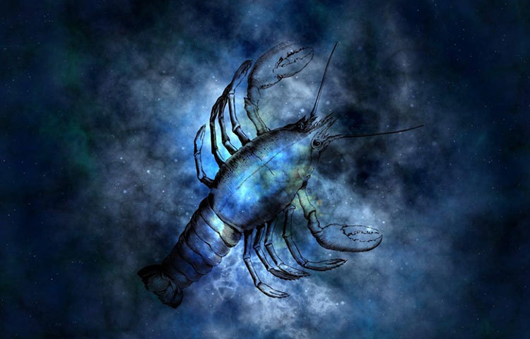 কর্কট : ২০১৯ সালে সঙ্গীর সঙ্গে বহু বিষয় নিয়ে দ্বন্দ্ব লেগে থাকবে। তর্কে কে জিতবে এই ধরনের মনোভাব থাকলে সম্পর্কে ক্ষতিই হবে। তাই ইগো সরিয়ে নিজে থেকেই মিটমাট করে নিন।