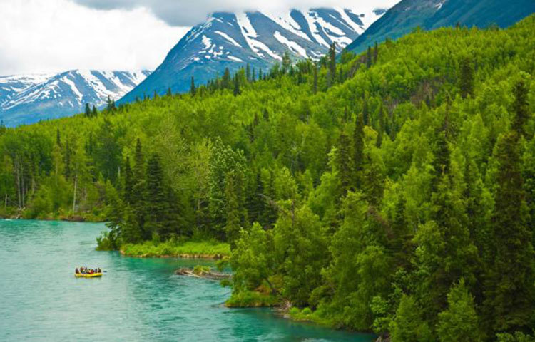 নজরকাড়া এই নদীটির নাম কেনাই নদী। এটি আলাস্কার অন্যতম নদী।