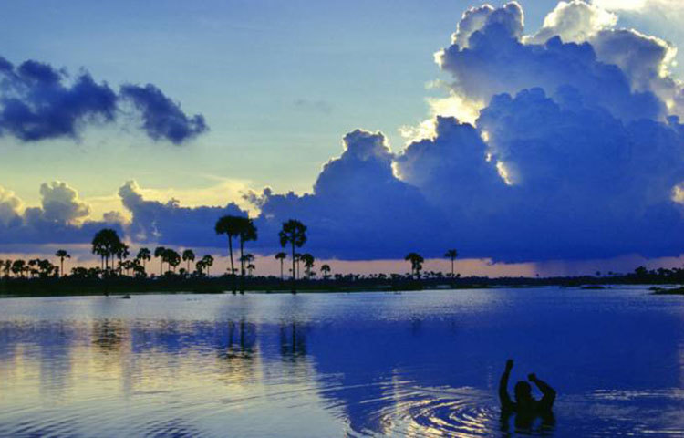 দক্ষিণ পূর্ব এশিয়ার মেকং নদী এটি।