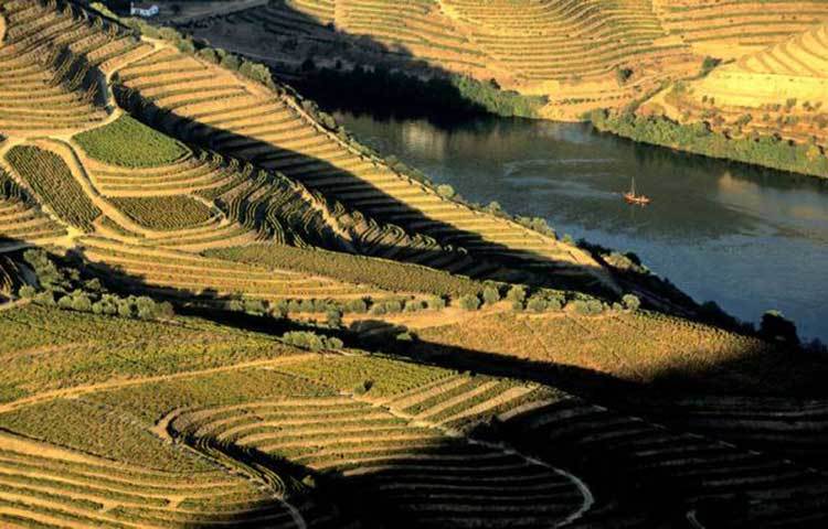 দোউরো নদী, পর্তুগাল।