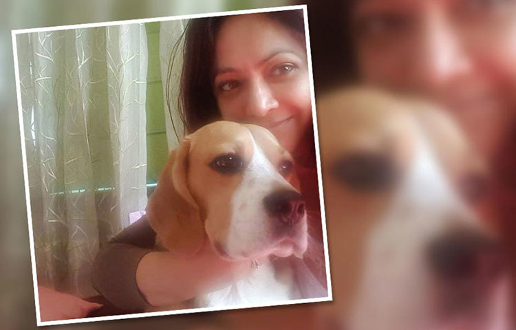 প্রিয় পোষা কুকুরের সঙ্গে অসবর কাটান।