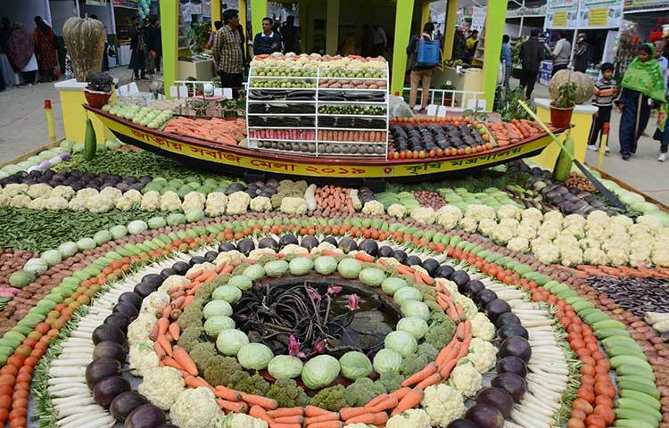 সবজি দিয়ে সাজানো হয়েছে মেলার প্রান্তর। ছবি : বিপ্লব দিক্ষিৎ