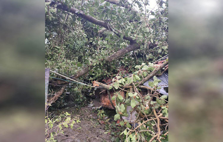 উত্তর ২৪ পরগনার গোবরডাঙাও লন্ডভন্ড আমপানের বিধ্বংসী লীলায়।