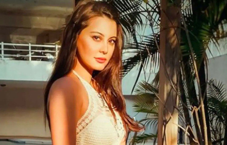 বাণিজ্যিক ধারার ছবিতে ক্রমে সুযোগ কমতে থাকে মিনিষার। তিনি ঠিক করেন এবার শুধু সমান্তরাল ধারার ছবিতেই অভিনয় করবেন। শ্যাম বেনেগালের পরিচালনায় তিনি অভিনয় করলেন ‘ওয়েলডান আব্বা’-য়। সামাজিক সমস্যার উপর তৈরি এই ছবি জাতীয় পুরস্কার জয়ী হয়। এরপর তিনি কাজ করেন ‘ভেজা ফ্রাই টু’ ছবিতে।