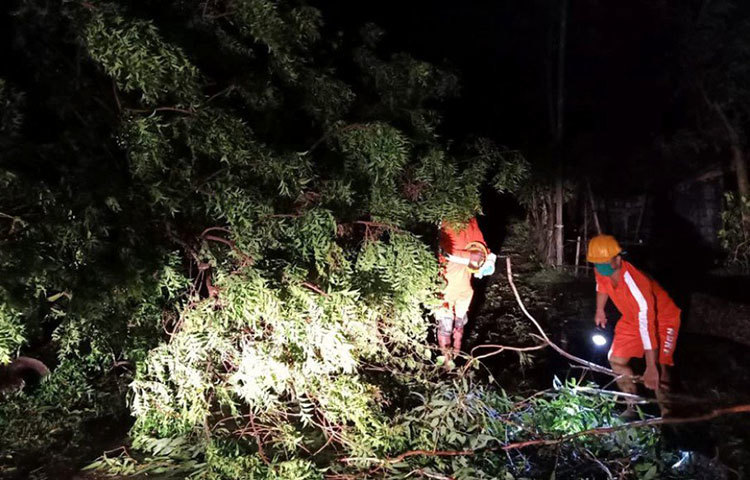 উত্তর ২৪ পরগনার হিঙ্গলগঞ্জে রাতের অন্ধকারেই শুরু হয়েছে ভেঙে পড়া গাছ তোলার কাজ।