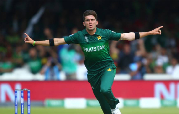 শাহিন শাহ আফ্রিদি: বাঁ-হাতি জোরে বোলার। পাক দলের অন্যতম সেরা অস্ত্র। ঘণ্টায় ১৪০ কিলোমিটার গতিবেগে ইয়র্কার করতে পারেন। ভারতীয় ব্যাটারদের বিরুদ্ধে তিনি ভয়ঙ্কর হয়ে উঠতে পারেন। ছবি: সংগৃহীত