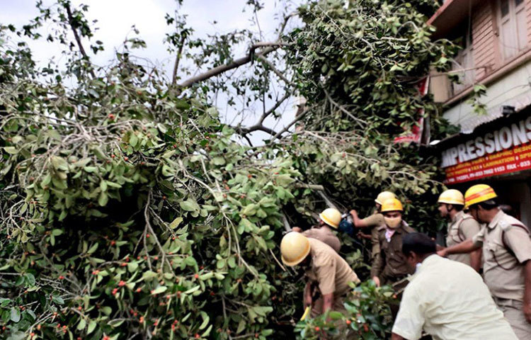 শ্রীরামপুরে পুলিশকর্মীদের সঙ্গে হাত লাগিয়েছেন সাধারণ মানুষও। চেষ্টা চলছে ভেঙে পড়া গাছ সরানোর।
