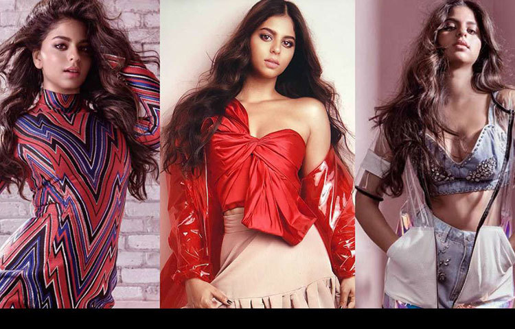 তবে শাহরুখ বলেছেন, মেয়ে যেদিকে ইচ্ছে ক্যারিয়ার করতে পারেন কিন্তু লেখাপড়া আগে শেষ করতে হবে।