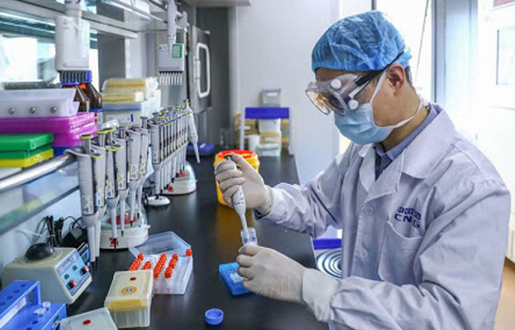 ভাইরাল ভেক্টর প্রতিষেধক: এই ধরনের প্রতিষেধক একটি ভাইরাসের মাধ্যমে কোষের ভিতরে করোনাভাইরাসের জিন ঢুকিয়ে দেয়, এবং তা দেহের প্রতিরোধ ব্যবস্থাকে পরীক্ষা করে। রয়েছে প্রোটিন বেসড ভ্যাকসিন বা প্রতিষেধক। একটি করোনাভাইরাসের প্রোটিন বা প্রোটিনের অংশ ব্যবহার করে এই প্রতিষেধক মানবদেহে প্রতিরোধ ক্ষমতাকে পরীক্ষা করে। এ ছাড়াও আরও এক ধরনের ভ্যাকসিন হল হোল-ভাইরাস ভ্যাকসিন। এই প্রতিষেধক করোনার সবচেয়ে দুর্বল বা নিষ্ক্রিয় সংস্করণকে ব্যবহার করে প্রতিরোধ ক্ষমতাকে পরীক্ষার মুখে ঠেলে দেয়। অন্। দিকে দেখা যায়, রিপারপাসড ভ্যাকসিনও। এই ধরনের ভ্যাকসিন হল অন্যান্য রোগের জন্য ইতিমধ্যেই ব্যবহৃত প্রতিষেধক, যার মাধ্যমে কোভিডের হাত থেকেও মুক্তি পাওয়া যেতে পারে।