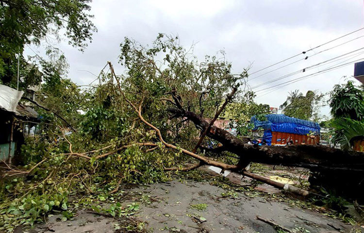 গাছ পড়ে বন্ধ বৈদ্যবাটী-জিটি রোড। এই একই অবস্থা বৃহস্পতিবার সকালে দেখা গিয়েছে কলকাতা, শহরতলি এবং অন্যান্য জেলার প্রায় সব রাজপথেই।