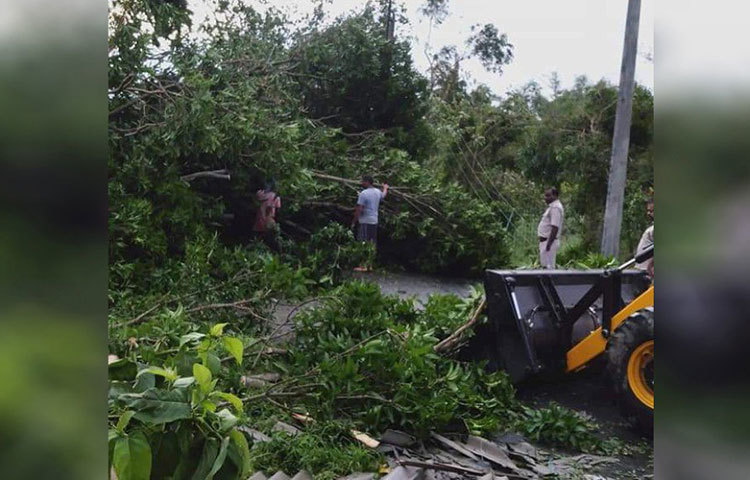ঝড়ের তাণ্ডবে একের পর এক গাছ ভেঙে পড়েছে কাঁথি শহরে।