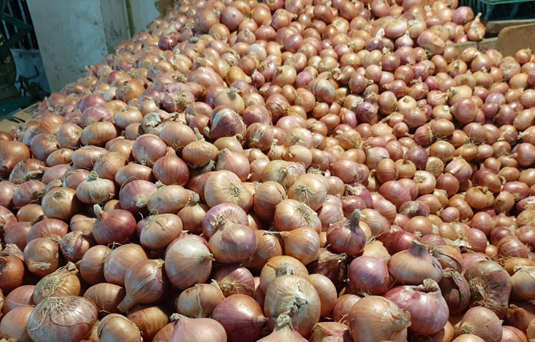 দেশি পেঁয়াজের সরবরাহ বেড়ে যাওয়ায় সেই বাড়তি দাম কমে এসেছে। খুচরায় আবারও ৪০ টাকা কেজিতে দেশির পাশাপাশি বিদেশি পেঁয়াজও মিলছে। ছবি : সংগৃহীত
