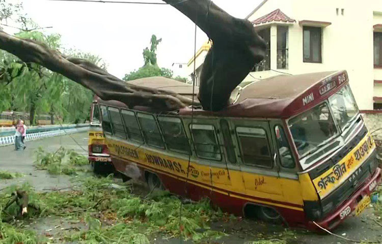 গলফগ্রিনে ভেঙে পড়া গাছের চাপে খেলনা গাড়ির মতো তুবড়ে গিয়েছে মিনিবাস।