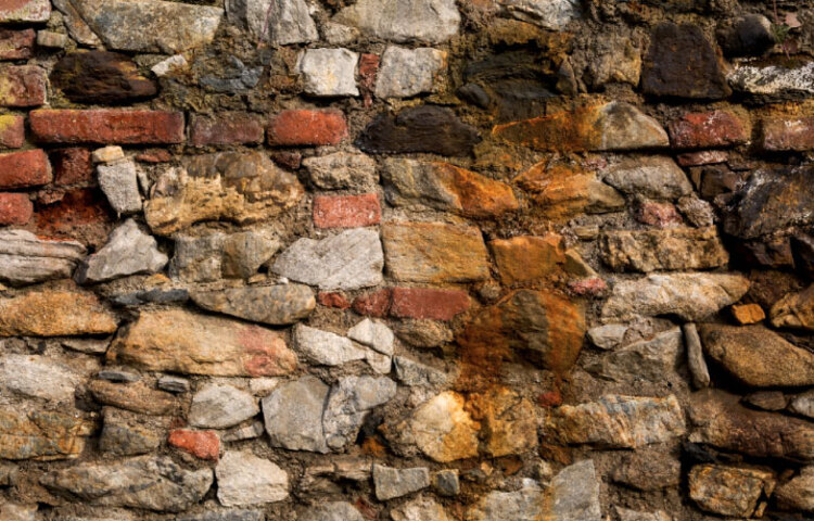 নোনা ধরার কারণ: নোনা ধরার কারণসমূহের মধ্যে রয়েছে,- ভবন নির্মাণে কম পোড়ানো ইট ব্যবহার। যে মাটি দিয়ে ইট তৈরি করা হয়, সে মাটিতে লবণের পরিমাণ বেশি। বাড়ি তৈরির উপকরণ, যেমন- বালি, সিমেন্ট, পানি প্রভৃতির মধ্যে লবণের পরিমাণ ২.৫% এর বেশি। সঠিক পানি নিষ্কাশনের ব্যবস্থার অভাব। দেয়ালের মাঝের পানির লাইনে ছিদ্র থাকা। প্লাস্টার শুকানোর আগেই রং করে ফেলা। গাঠনিক ত্রুটি ঘরের ভেতরে পর্যাপ্ত আলো বাতাসের অভাব। মেঝে এবং ঘরের মাঝের দেয়ালে সঠিকভাবে সিক্ততা স্তর না দেওয়া।