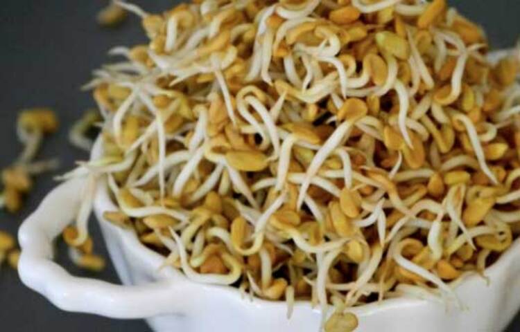 অঙ্কুরিত মেথির উপকারিতা: অঙ্কুরিত মেথি রক্তে গ্লুকোজ নিঃসরণের গতি কমিয়ে দেয়। এর ফলে রক্তে হঠাৎ সুগারের মাত্রা বেড়ে যাওয়ার সম্ভাবনা কমে। তাই ডায়াবেটিস রোগীদের জন্য এটি অত্যন্ত কার্যকরী।