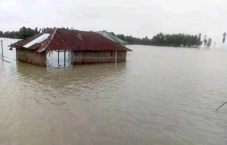 দেশের ১০টি নদীর পানি বিপৎসীমার ওপর দিয়ে প্রবাহিত হচ্ছে। এর প্রভাবে বন্যায় তলিয়ে গেছে গেছে ১৫ জেলার নিম্নাঞ্চল, যার মধ্যে ১১ জেলার বন্যা পরিস্থিতির অবনতি হওয়ার আশঙ্কা রয়েছে। ছবি: মো. মাসুদ রানা
