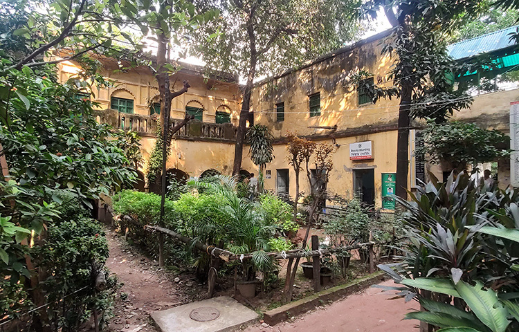 বোর্ডিংয়ে প্রবেশ করলেই চারদিকে সবুজের সমারোহ। ছবি: ঝরনা আক্তার জয়া