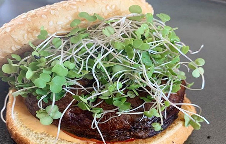 সপ্তম দিনে এই মাইক্রোগ্রিনের ট্রেগুলিকে বড় ট্রেতে স্থানান্তরিত করা হয়। এই সব ট্রে-র বিশেষত্ব হল, উপর দিয়ে নয়, নীচ দিয়ে এতে জল ভরতে হয়।