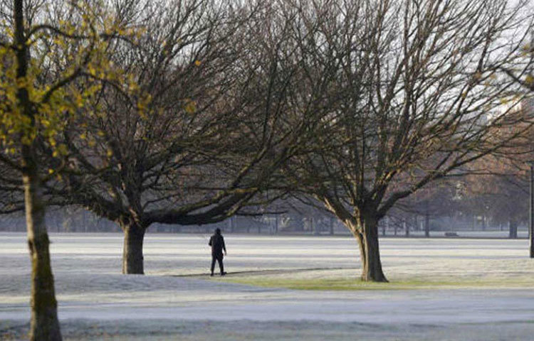 আইরিশ শব্দ থেকে ‘নিমাহ’ থেকে তৈরি নেভ কথার অর্থ উজ্জ্বল। ‘তে আরোহা’ নামে নিউজিল্যান্ডে একটি পাহাড় আছে। স্থানীয় মাওরি উপজাতির ভাষায় ‘আরোহা’ শব্দের অর্থ ভালবাসা। একরত্তি নেভকে বড় করার পাশাপাশি তার মা আগলে রেখেছেন গোটা দেশের মানুষকে।
