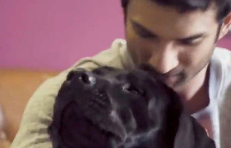 ছয় হাজার বর্গফুটের এই বিশাল বাংলোয় পরিচারকদের সঙ্গে একাই থাকতেন সুশান্ত সিংহ রাজপুত। খেলার সঙ্গী ছিল আদরের পোষ্য।