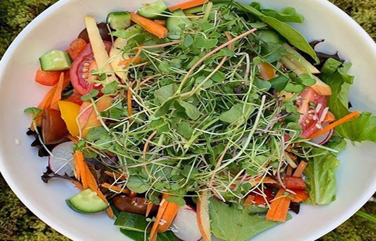 মাত্র কয়েক বছর আগে ১৫ হাজার টাকা দিয়ে শুরু করা ব্যবসা থেকে বিদ্যাধরনের এখন মাসে লাভ ৮০ হাজার। ব্যবসা আরও বাড়ানোর বিষয়ে চিন্তাভাবনাও তার রয়েছে বলে জানিয়েছেন বিদ্যাধরন।