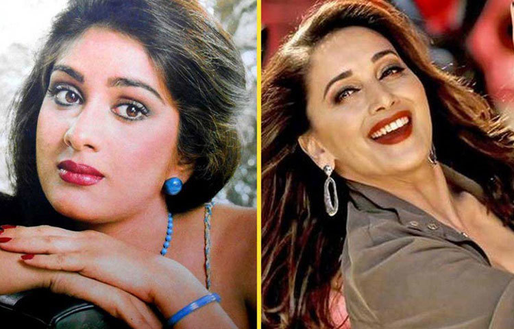 হিন্দি ছবির দর্শকদের অনেকেই মনে করেন, ব্যক্তিগত জীবনের সমস্যার জন্যই মীনাক্ষীকে অকালে ক্যারিয়ার থেকে বিদায় নিতে হয়। তিনি অভিনয় ছেড়ে দেওয়ায় মাধুরী দীক্ষিতের উত্তরণের পথ সুগম হয় বলে ধারণা অনেক চলচ্চিত্রপ্রেমীরই।