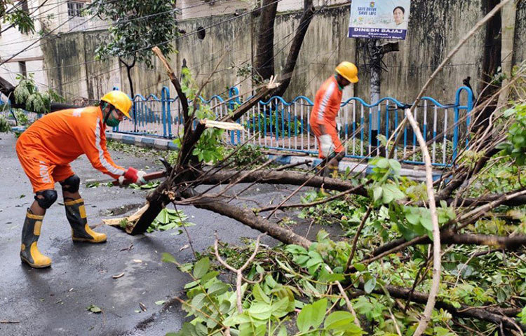 আলিপুরে ভেঙে পড়া গাছ সরিয়ে স্তব্ধ শহরে প্রাণ ফেরানোর কাজে তৎপর বিপর্যয় মোকাবিলা কমিটির কর্মীরা।