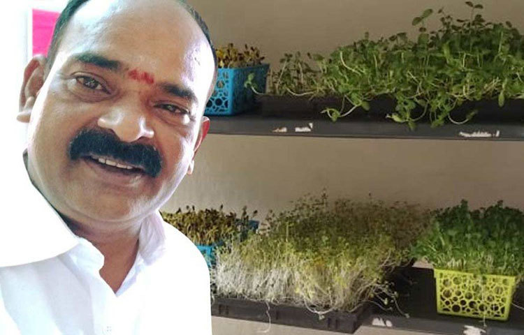 বিদ্যাধরণ মাইক্রোগ্রিনের চাষ শুরু করেন ২০১৮ সালের অক্টোবরে। মাত্র ১৫ হাজার টাকা নিয়ে এই ব্যবসা শুরু করেছিলেন তিনি।