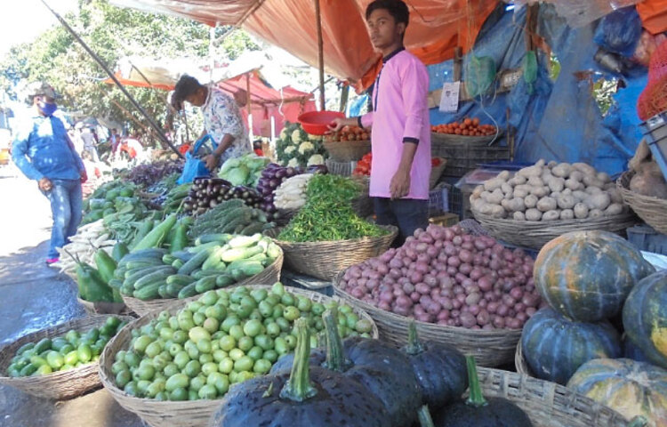 শীতকালীন সবজি বাজারে আসতে শুরু হয়েছে। সদর ও বিশ্বম্ভরপুর উপজেলার বিভিন্ন স্থানের উৎপাদিত সবজি প্রতিদিন সুনামগঞ্জের বাজারে আসছে। এসব সবজির মধ্যে লাউ, সীম ও মুলার দাম অনেকটা কমেছে। ছবি: জাগো নিউজ