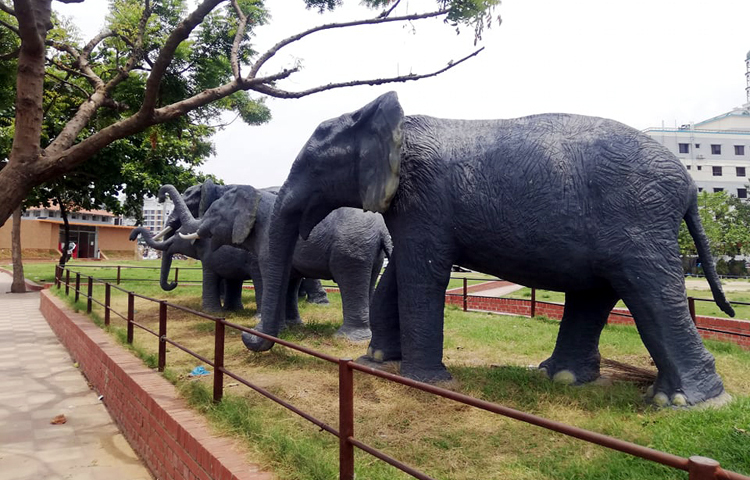 শহরের কর্মব্যস্ত মানুষ একটু অবসর কাটাতে ছুটে আসেন হাতিরঝিলে। এবার সময় কাটানোর সেই হাতিরঝিলে গড়ে উঠেছে হাতির পালের ভাস্কর্য। এই হাতির পাল দেখে মানুষ অনুভব করছে হাতিরঝিলের আসল সৌন্দর্য। ছবি : মাহবুব আলম